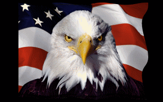 american-flag-with-eagle.gif